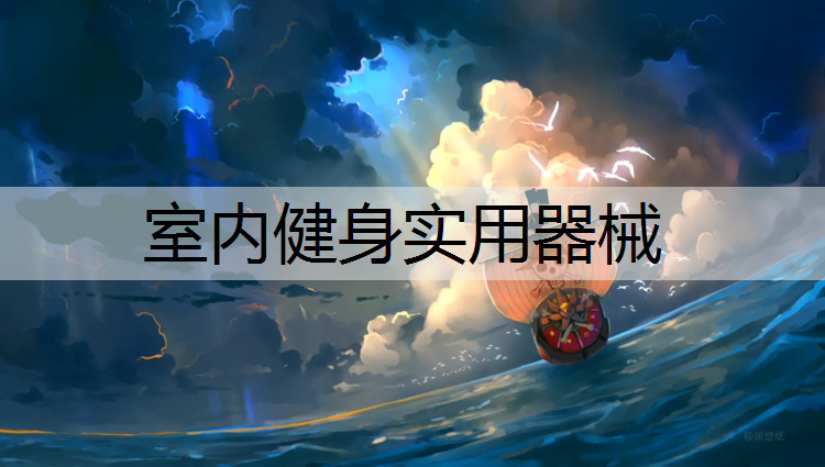 <strong>室内健身实用器械</strong>