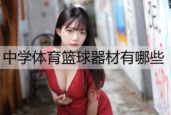 <strong>中学体育篮球器材有哪些</strong>