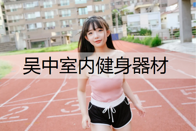 吴中室内健身器材