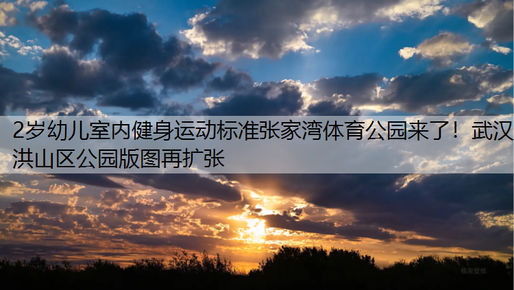 2岁幼儿室内健身运动标准张家湾体育公园来了！武汉洪山区公园版图再扩张