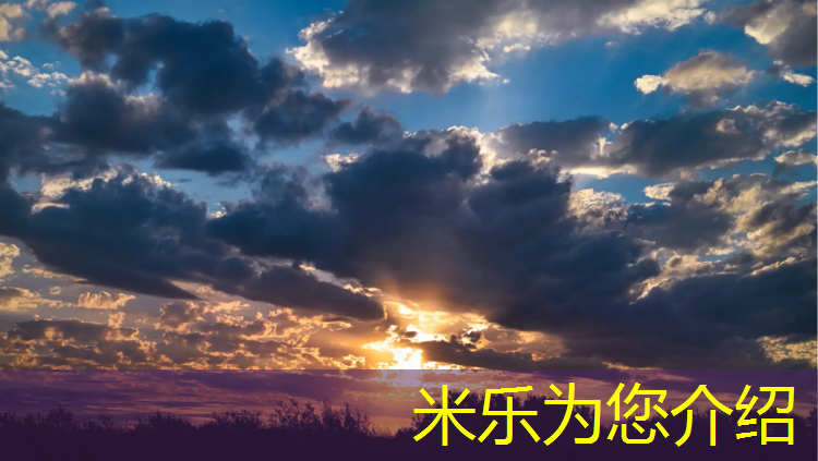 <strong>米乐m6官网登录入口为您介绍：荣成塑胶跑道</strong>