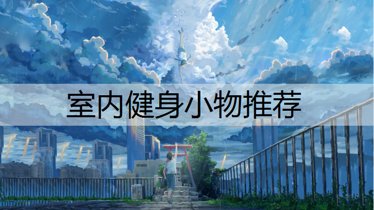 室内健身小物推荐