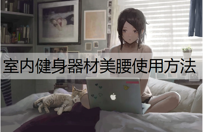 室内健身器材美腰使用方法