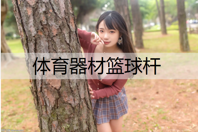 体育器材篮球杆