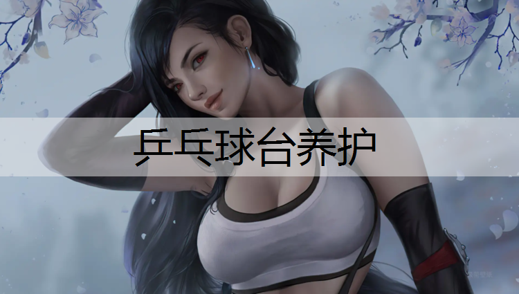 乒乓球台养护